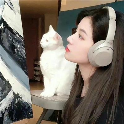无所事事的海盗