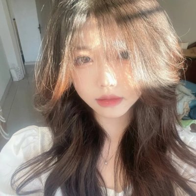 妙探机灵狗
